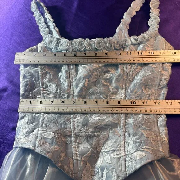 VTG📌 Aspeed Iridescent Organza 90s Fitted Corset-Style Bodice Prom Formal Gown - Picture 11 of 16